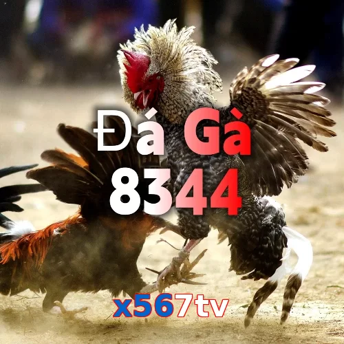 x567tv