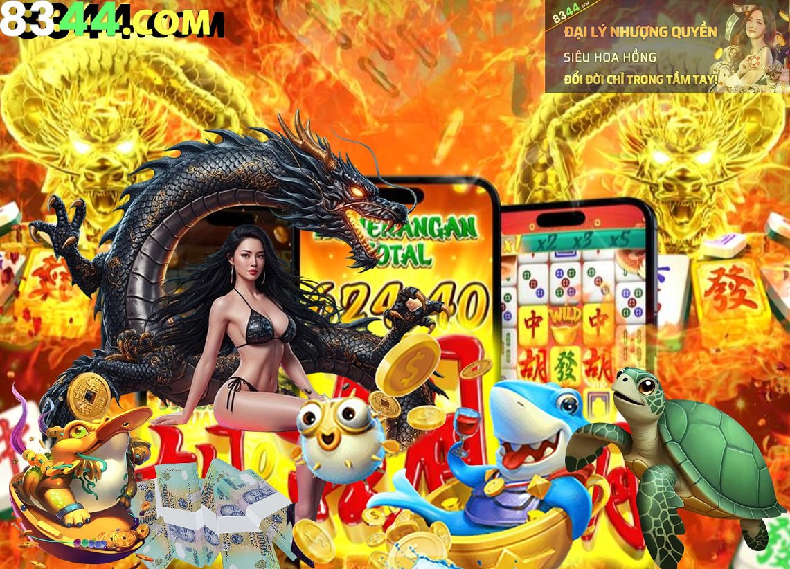 x567tv